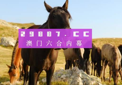 管家婆必出一中一特100%同港澳资料免费看,权威评估解析-留心误导的假宣传单发掘